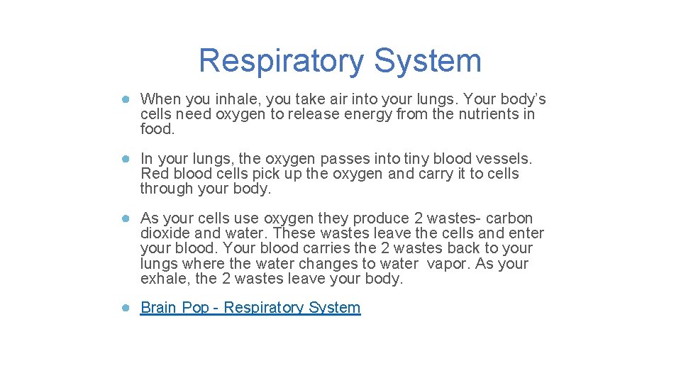 Respiratory System ● When you inhale, you take air into your lungs. Your body’s