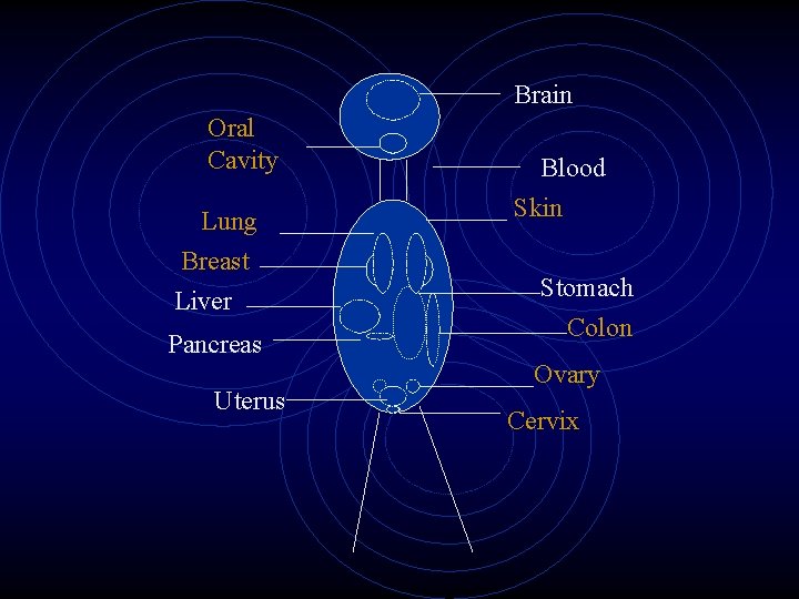 Brain Oral Cavity Lung Breast Liver Pancreas Uterus Blood Skin Stomach Colon Ovary Cervix