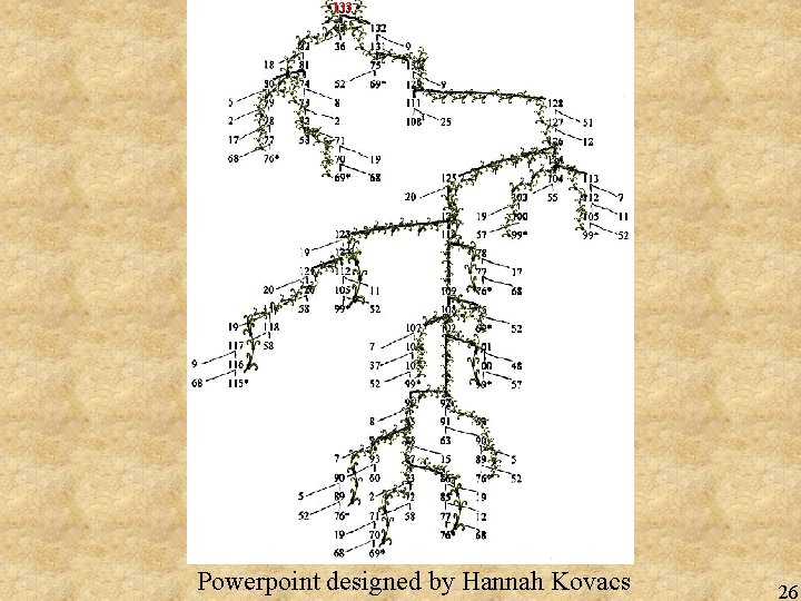 133 Powerpoint designed by Hannah Kovacs 26 