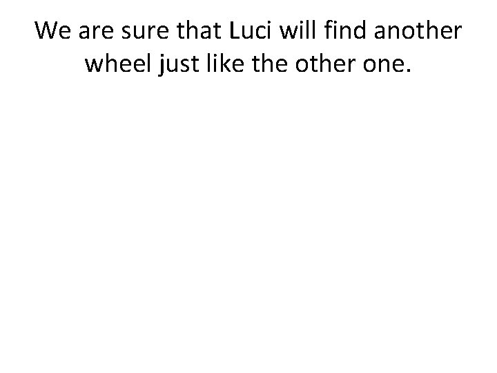We are sure that Luci will find another wheel just like the other one.