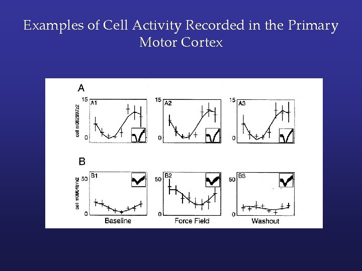Examples of Cell Activity Recorded in the Primary Motor Cortex 