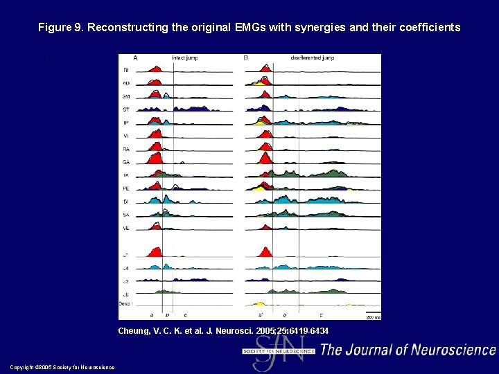 Figure 9. Reconstructing the original EMGs with synergies and their coefficients Cheung, V. C.