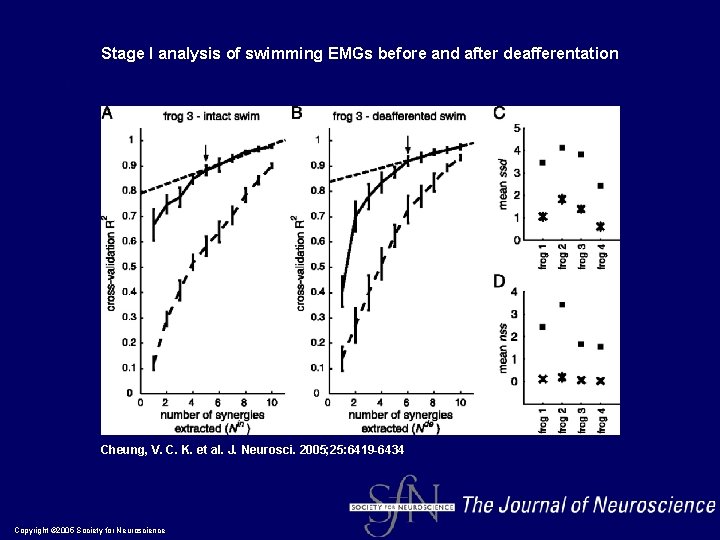 Stage I analysis of swimming EMGs before and after deafferentation Cheung, V. C. K. Stage I analysis of swimming EMGs before and after deafferentation Cheung, V. C. K.
