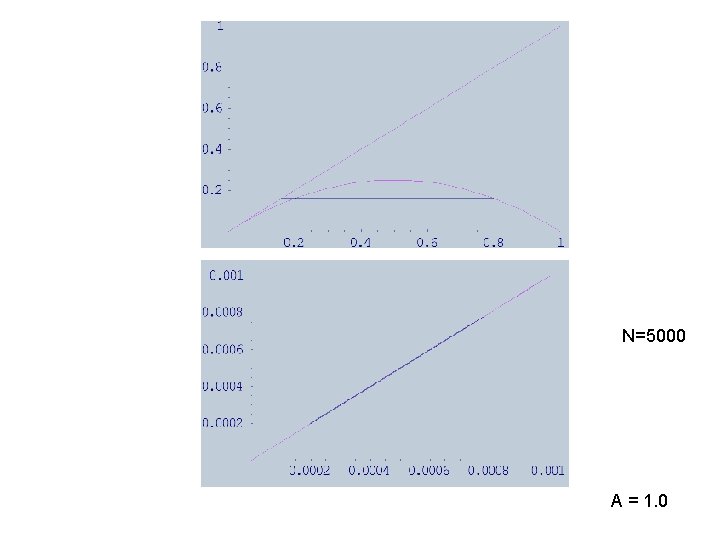 N=5000 A = 1. 0 