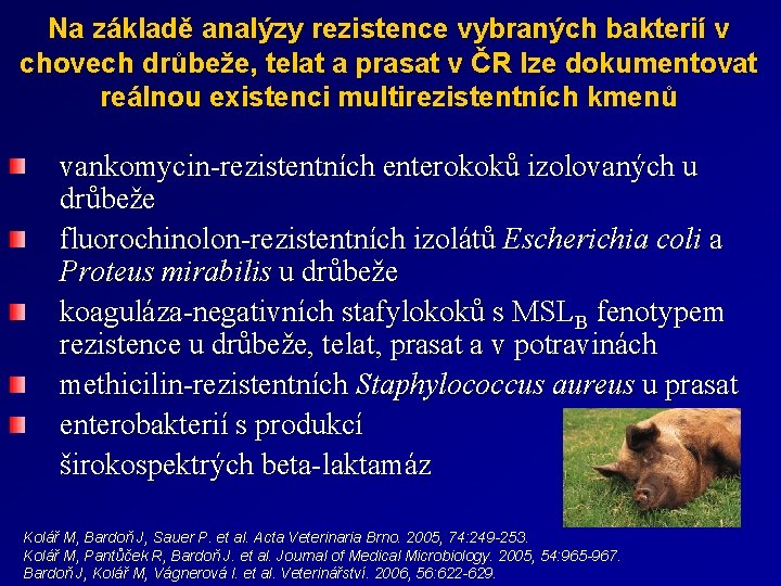 Na základě analýzy rezistence vybraných bakterií v chovech drůbeže, telat a prasat v ČR