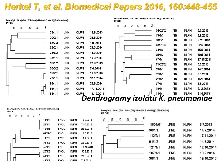 Herkel T, et al. Biomedical Papers 2016, 160: 448 -455 Dendrogramy izolátů K. pneumoniae