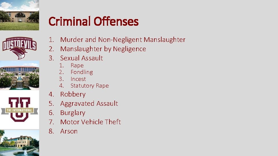 Criminal Offenses 1. Murder and Non-Negligent Manslaughter 2. Manslaughter by Negligence 3. Sexual Assault