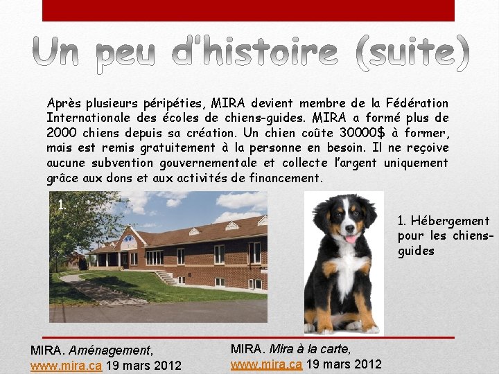 Après plusieurs péripéties, MIRA devient membre de la Fédération Internationale des écoles de chiens-guides.