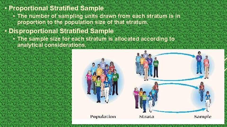  • Proportional Stratified Sample • The number of sampling units drawn from each