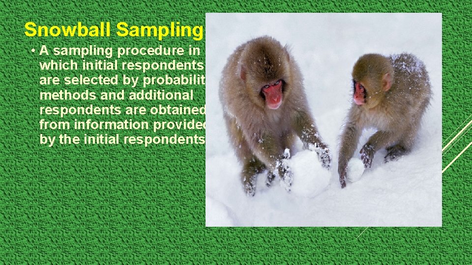 Snowball Sampling • A sampling procedure in which initial respondents are selected by probability