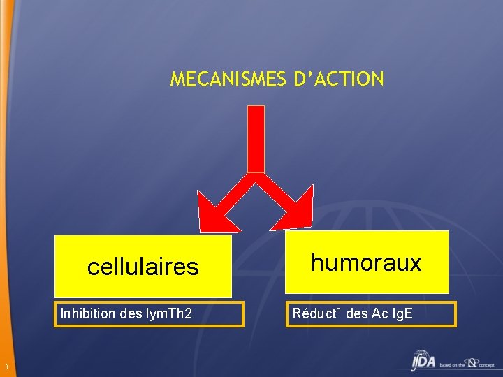 MECANISMES D’ACTION cellulaires Inhibition des lym. Th 2 3 humoraux Réduct° des Ac Ig.