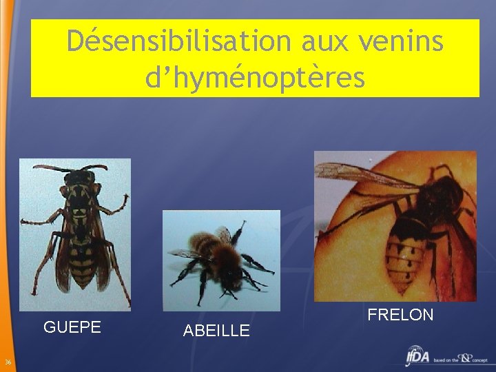 Désensibilisation aux venins d’hyménoptères GUEPE 36 ABEILLE FRELON 