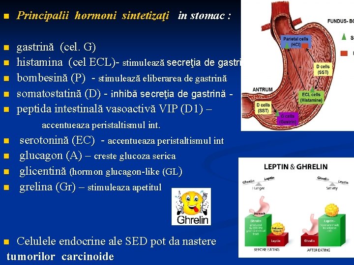 n Principalii hormoni sintetizaţi in stomac : n gastrină (cel. G) histamina (cel ECL)-