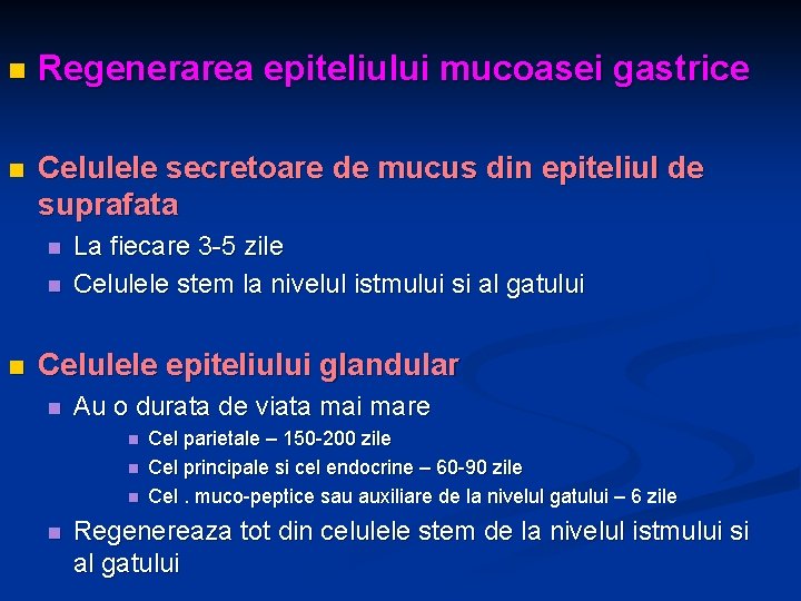 n Regenerarea epiteliului mucoasei gastrice n Celulele secretoare de mucus din epiteliul de suprafata