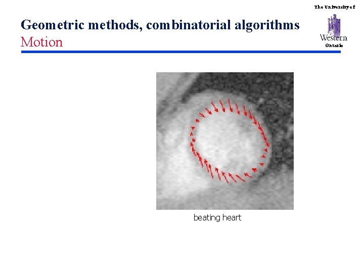 The University of Geometric methods, combinatorial algorithms Motion beating heart Ontario 