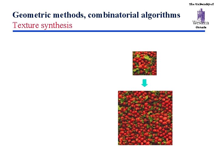 The University of Geometric methods, combinatorial algorithms Texture synthesis Ontario 