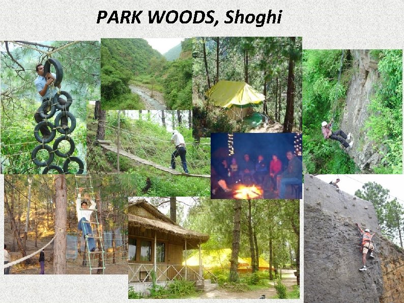 PARK WOODS, Shoghi 