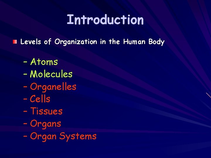 Introduction Levels of Organization in the Human Body – Atoms – Molecules – Organelles