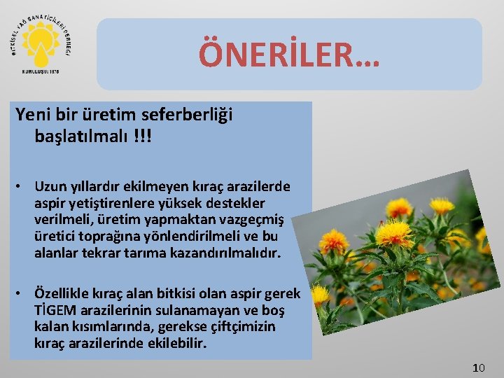 ÖNERİLER… Yeni bir üretim seferberliği başlatılmalı !!! • Uzun yıllardır ekilmeyen kıraç arazilerde aspir