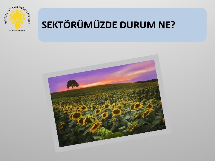 SEKTÖRÜMÜZDE DURUM NE? 