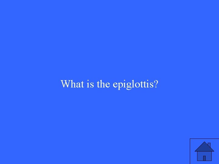 What is the epiglottis? 