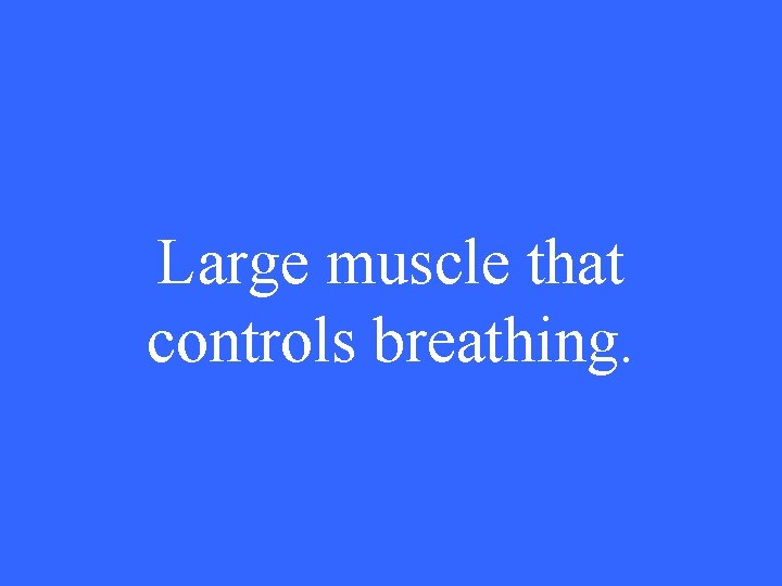 Large muscle that controls breathing. 