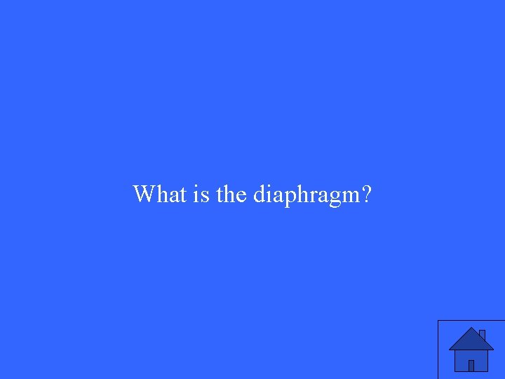 What is the diaphragm? 