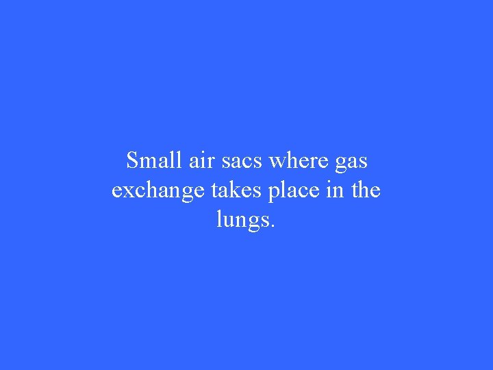 Small air sacs where gas exchange takes place in the lungs. 