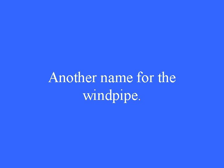 Another name for the windpipe. 
