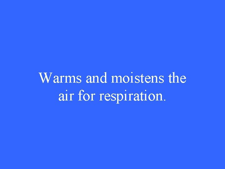 Warms and moistens the air for respiration. 