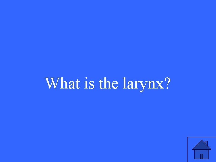 What is the larynx? 