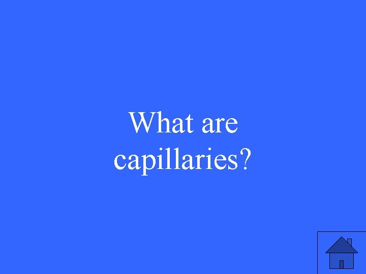 What are capillaries? 
