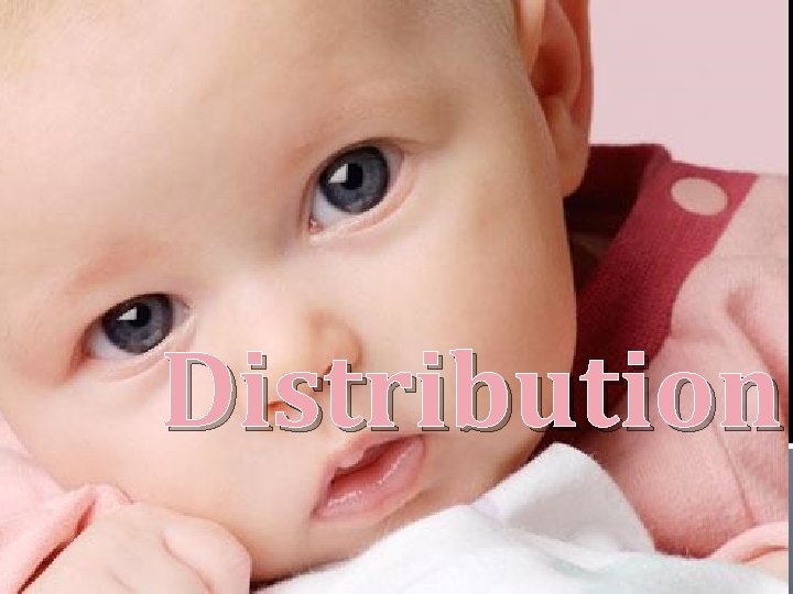 Distribution 