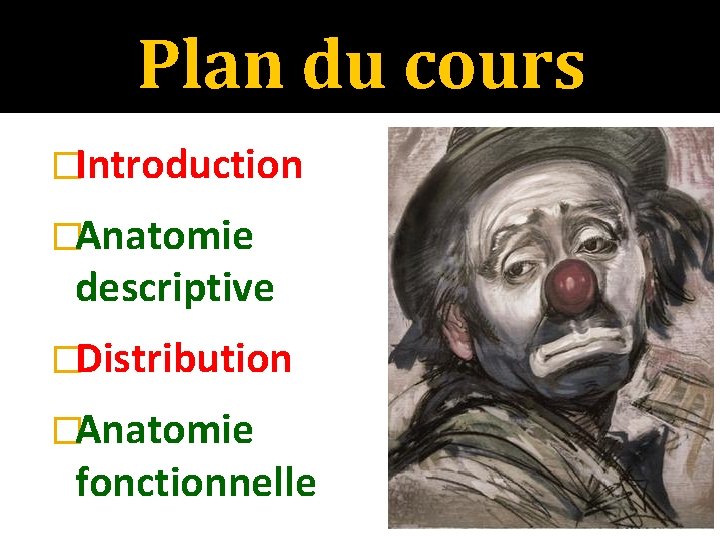 Plan du cours �Introduction �Anatomie descriptive �Distribution �Anatomie fonctionnelle 