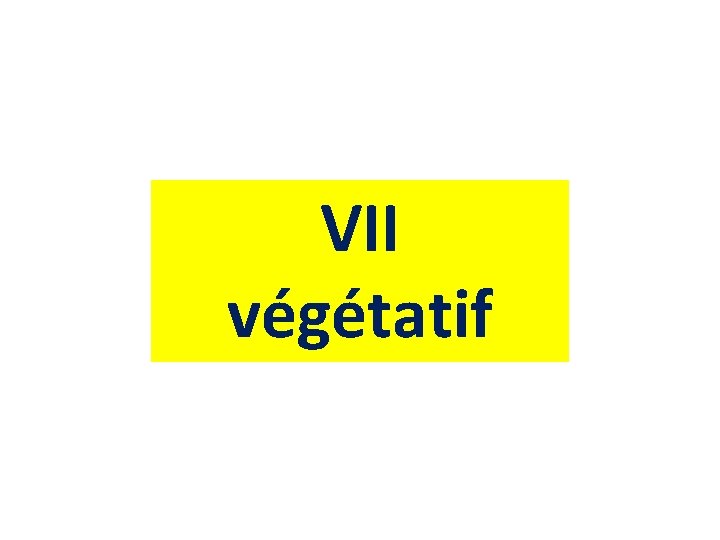 VII végétatif 