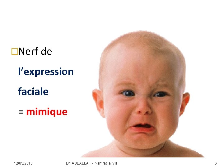 �Nerf de l’expression faciale = mimique 12/05/2013 Dr. ABDALLAH - Nerf facial VII 6