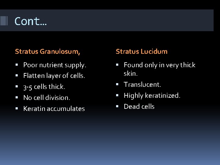 Cont… Stratus Granulosum, Stratus Lucidum Poor nutrient supply. Found only in very thick skin. Cont… Stratus Granulosum, Stratus Lucidum Poor nutrient supply. Found only in very thick skin.