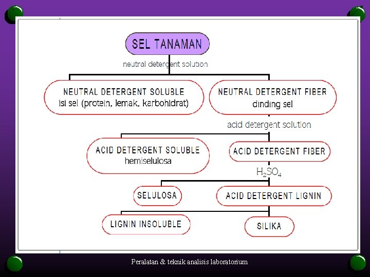 Peralatan & teknik analisis laboratorium 