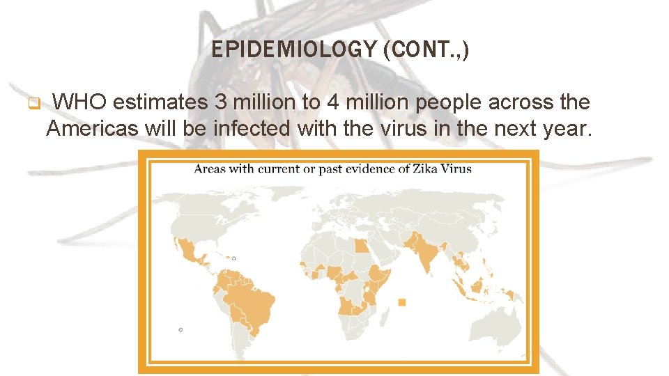 EPIDEMIOLOGY (CONT. , ) q WHO estimates 3 million to 4 million people across
