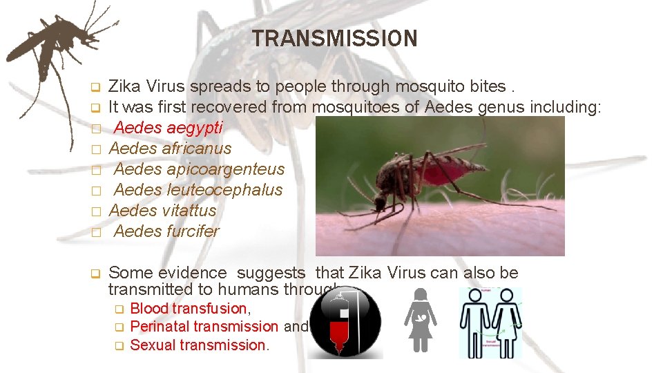 TRANSMISSION q q � � � q Zika Virus spreads to people through mosquito