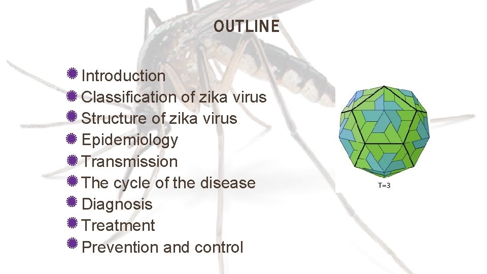 OUTLINE Introduction Classification of zika virus Structure of zika virus Epidemiology Transmission The cycle