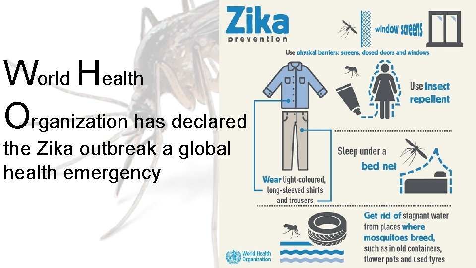 World Health Organization has declared the Zika outbreak a global health emergency 