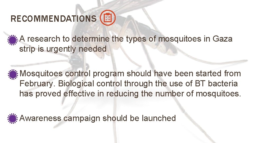 RECOMMENDATIONS A research to determine the types of mosquitoes in Gaza strip is urgently