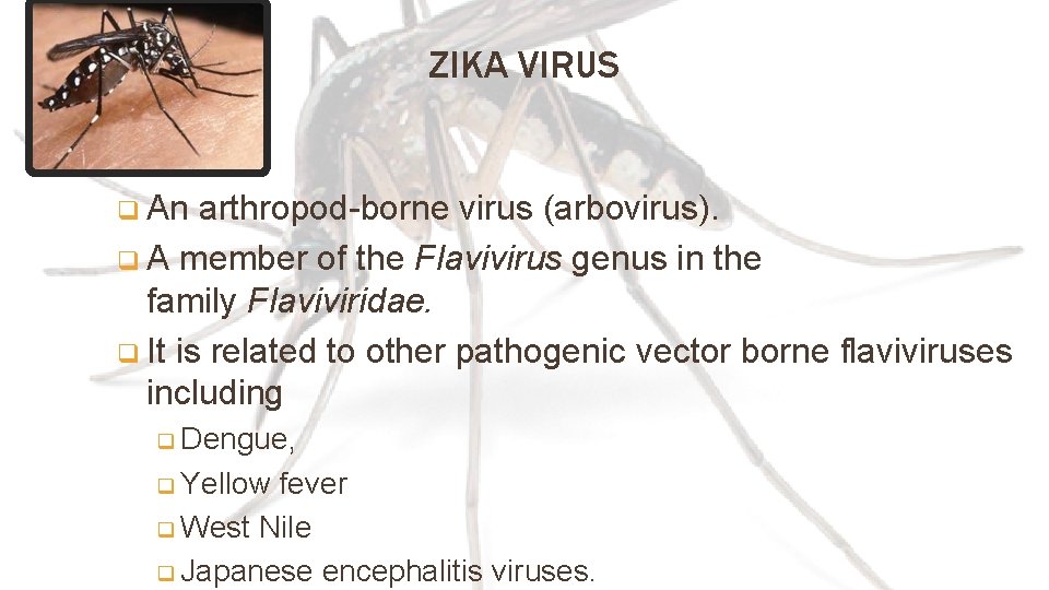 ZIKA VIRUS q An arthropod-borne virus (arbovirus). q A member of the Flavivirus genus