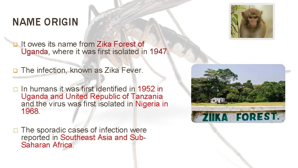 NAME ORIGIN q It owes its name from Zika Forest of Uganda, where it