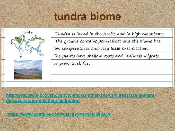 tundra biome http: //preview. discovery. com/tv-shows/other-shows/videos/assignmentdiscovery-shorts-iii-biomes-tundra/ https: //www. youtube. com/watch? v=4 b 91 MGt-Bg tundra biome http: //preview. discovery. com/tv-shows/other-shows/videos/assignmentdiscovery-shorts-iii-biomes-tundra/ https: //www. youtube. com/watch? v=4 b 91 MGt-Bg