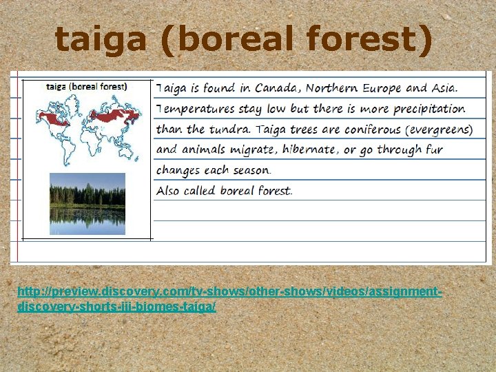 taiga (boreal forest) http: //preview. discovery. com/tv-shows/other-shows/videos/assignmentdiscovery-shorts-iii-biomes-taiga/ 