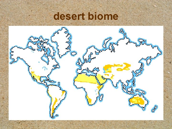 desert biome 