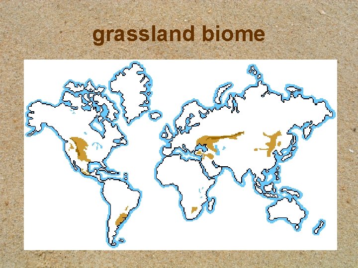 grassland biome 