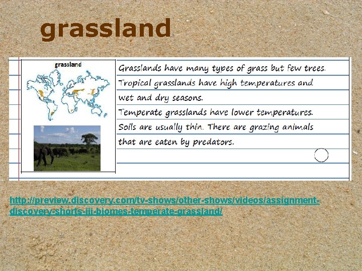 grassland http: //preview. discovery. com/tv-shows/other-shows/videos/assignmentdiscovery-shorts-iii-biomes-temperate-grassland/ grassland http: //preview. discovery. com/tv-shows/other-shows/videos/assignmentdiscovery-shorts-iii-biomes-temperate-grassland/